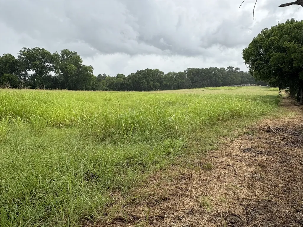 Tbd W State Highway 31 Purdon TX 76679