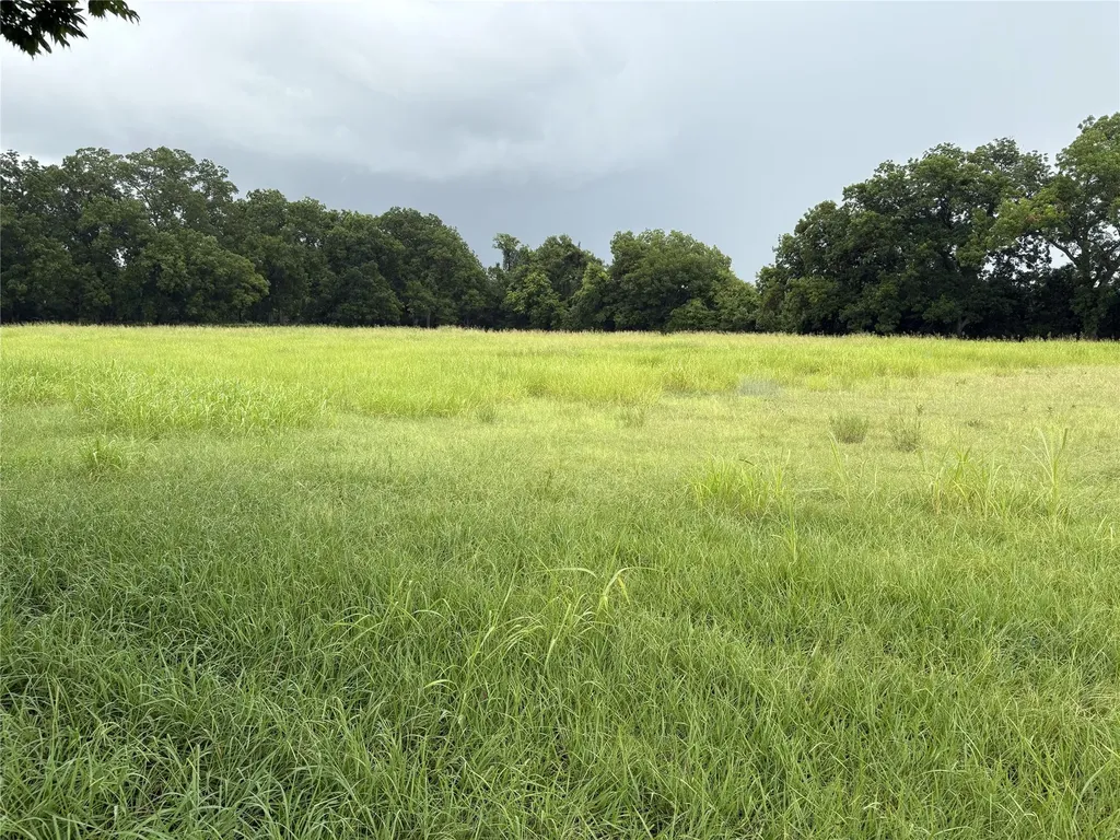 Tbd W State Highway 31 Purdon TX 76679