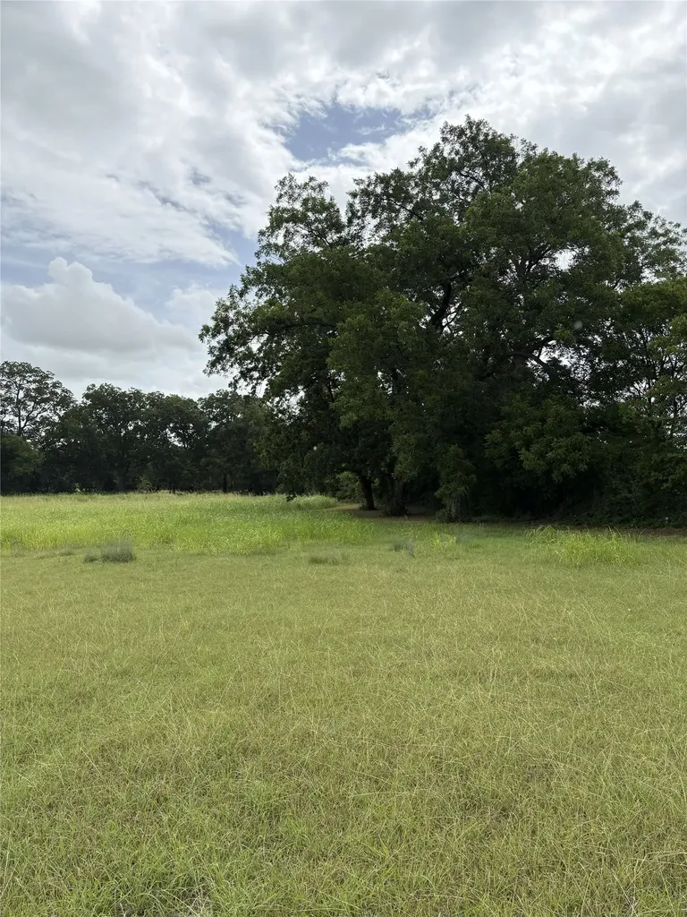 Tbd W State Highway 31 Purdon TX 76679
