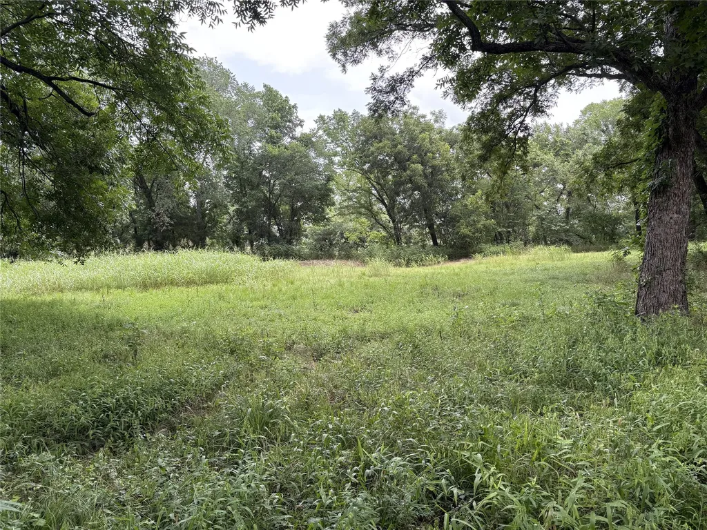 Tbd W State Highway 31 Purdon TX 76679
