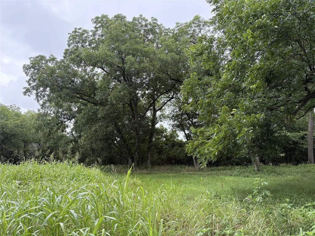 Tbd W State Highway 31 Purdon TX 76679