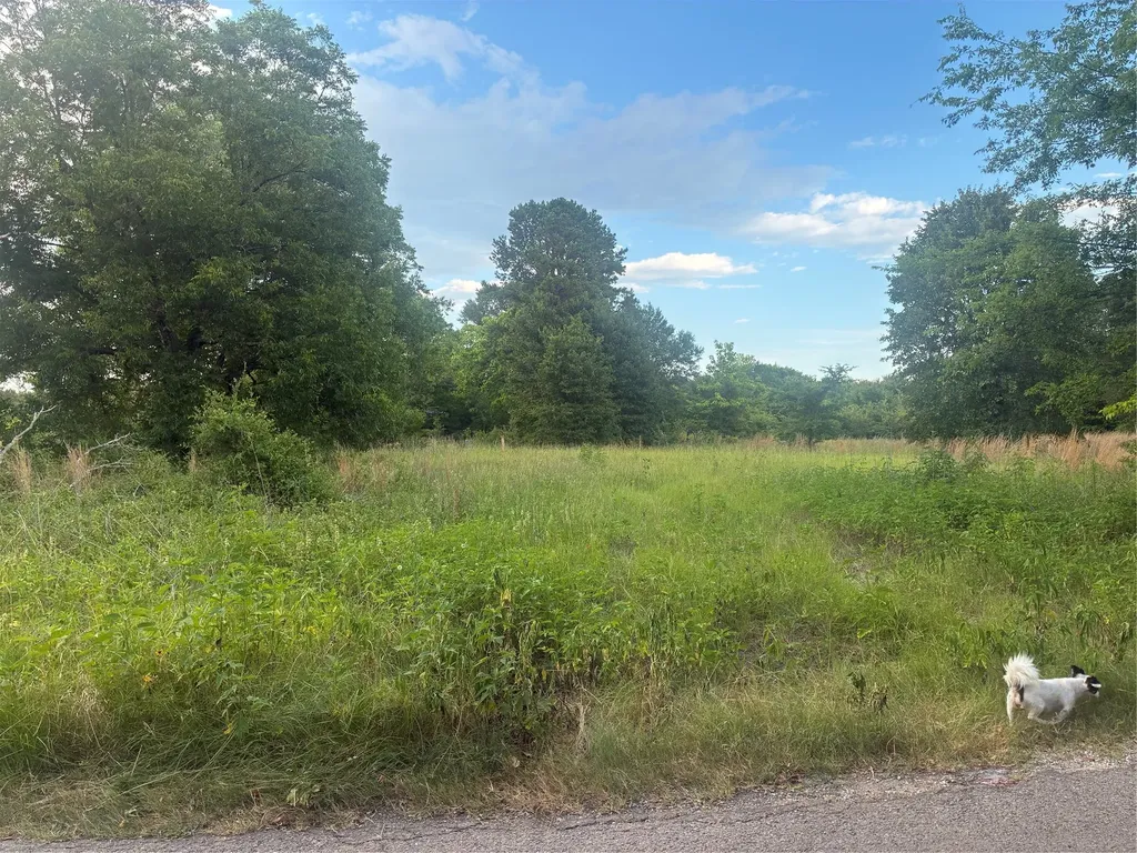 910 Vzcr 3119 Road Edgewood TX 75117