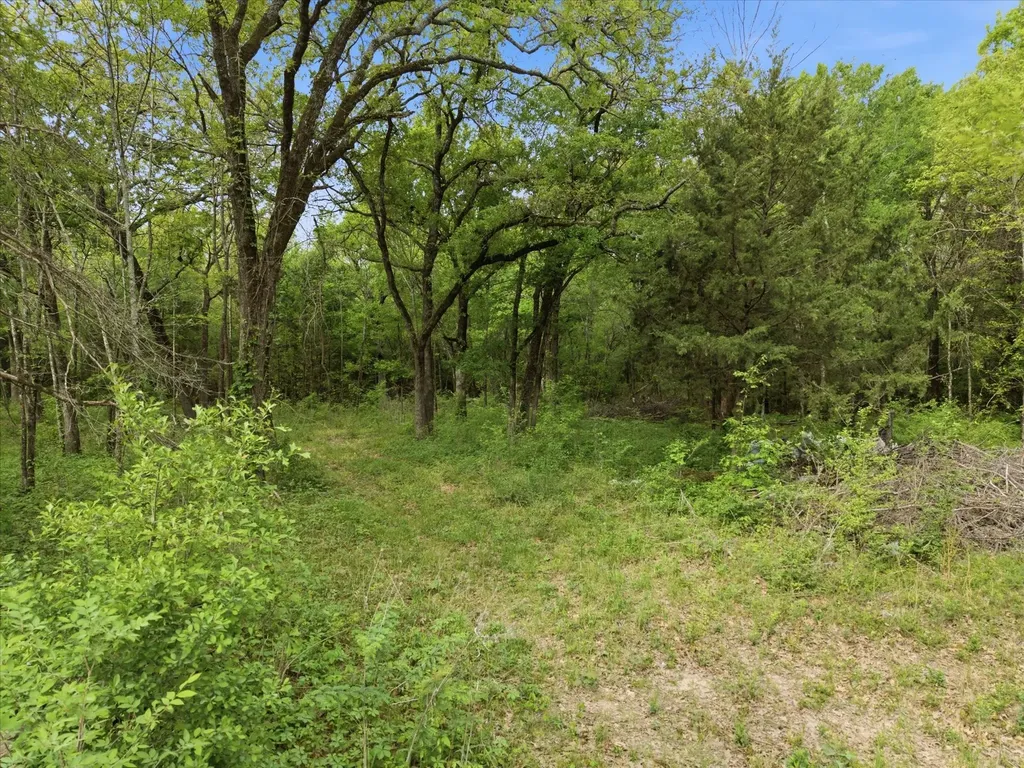 637 Vz County Road 3437 Wills Point TX 75169