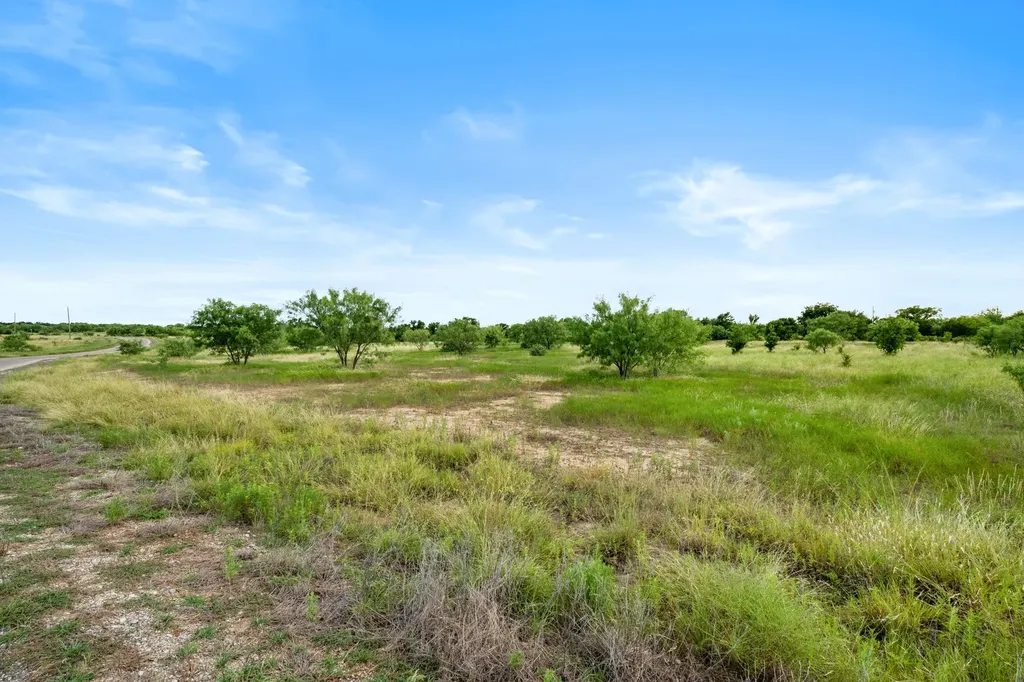 Lot 17 Brazos Valley Road Mineral Wells TX 76067