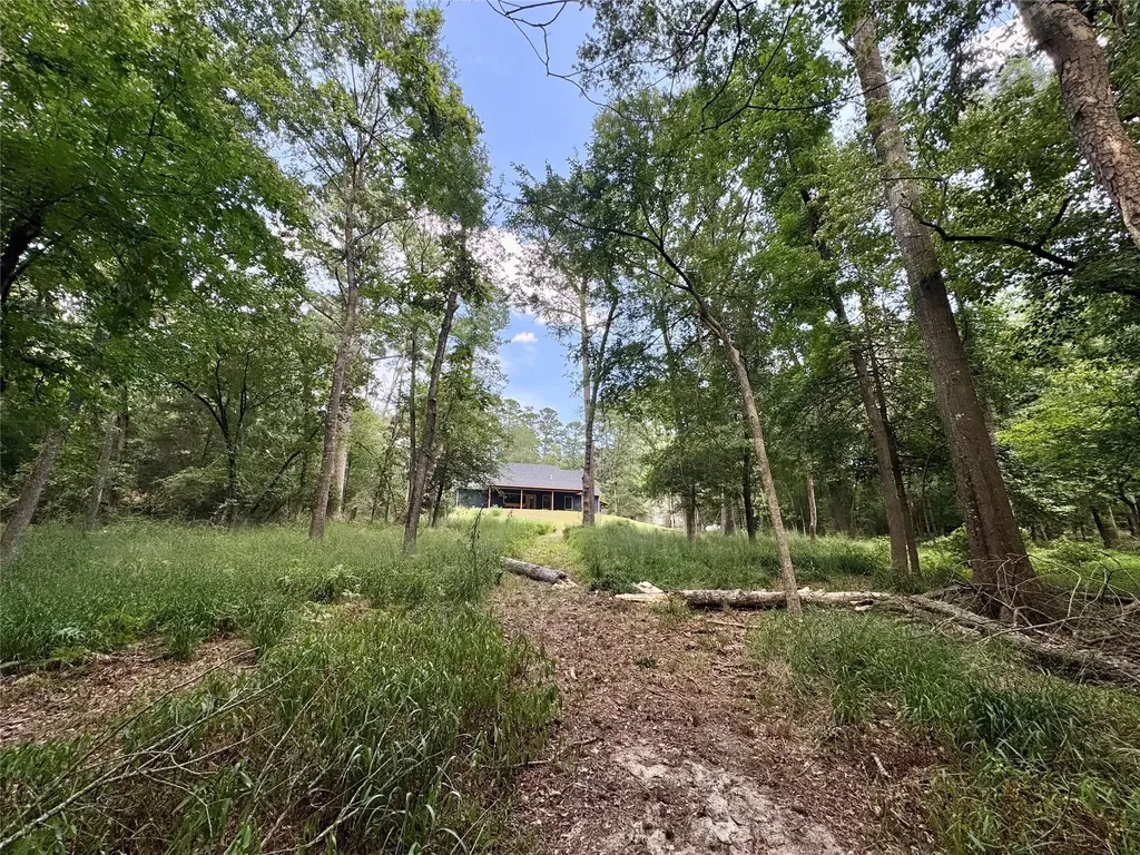 2133 Holly Trail E Holly Lake Ranch TX 75765