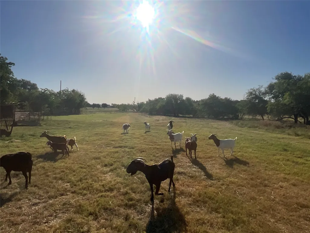 450 Cr 101 Hamilton TX 76531