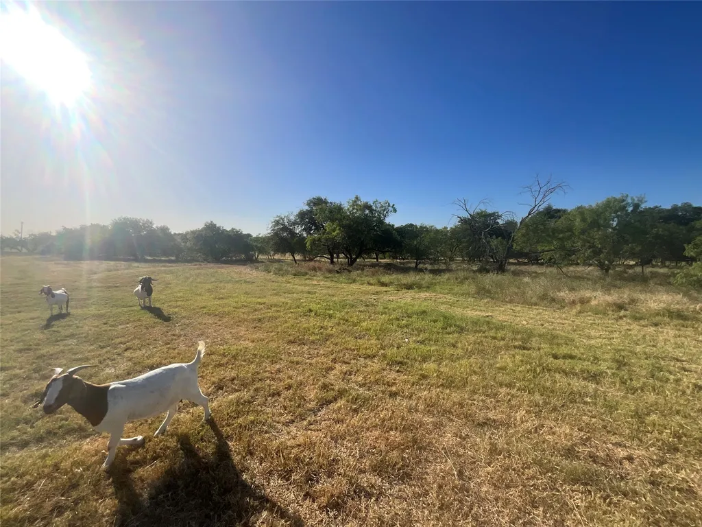 450 Cr 101 Hamilton TX 76531