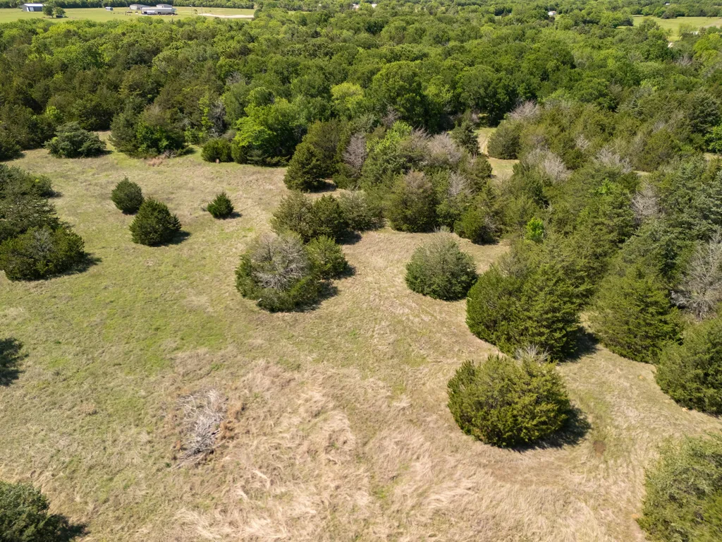 Tbd 13 Acres County Road 1134 Lone Oak TX 75453