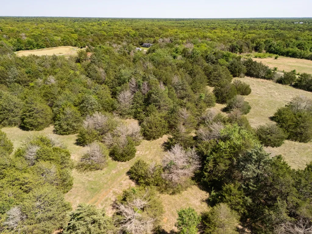 Tbd 13 Acres County Road 1134 Lone Oak TX 75453