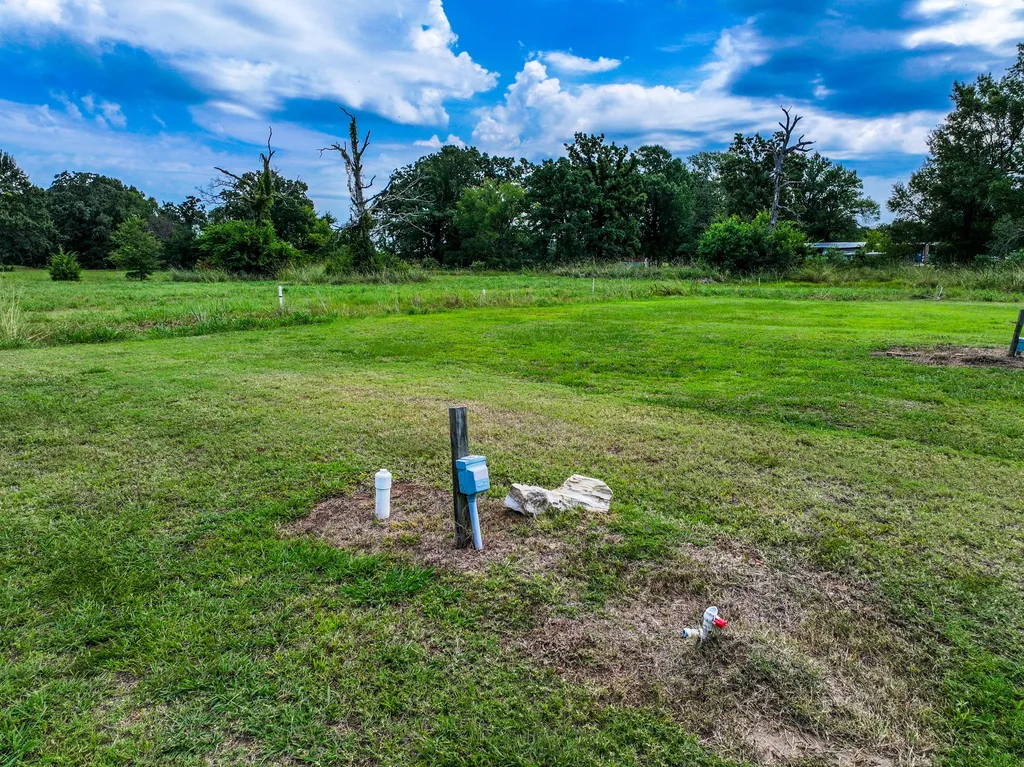 194 Pr 5552 Street Alba TX 75410