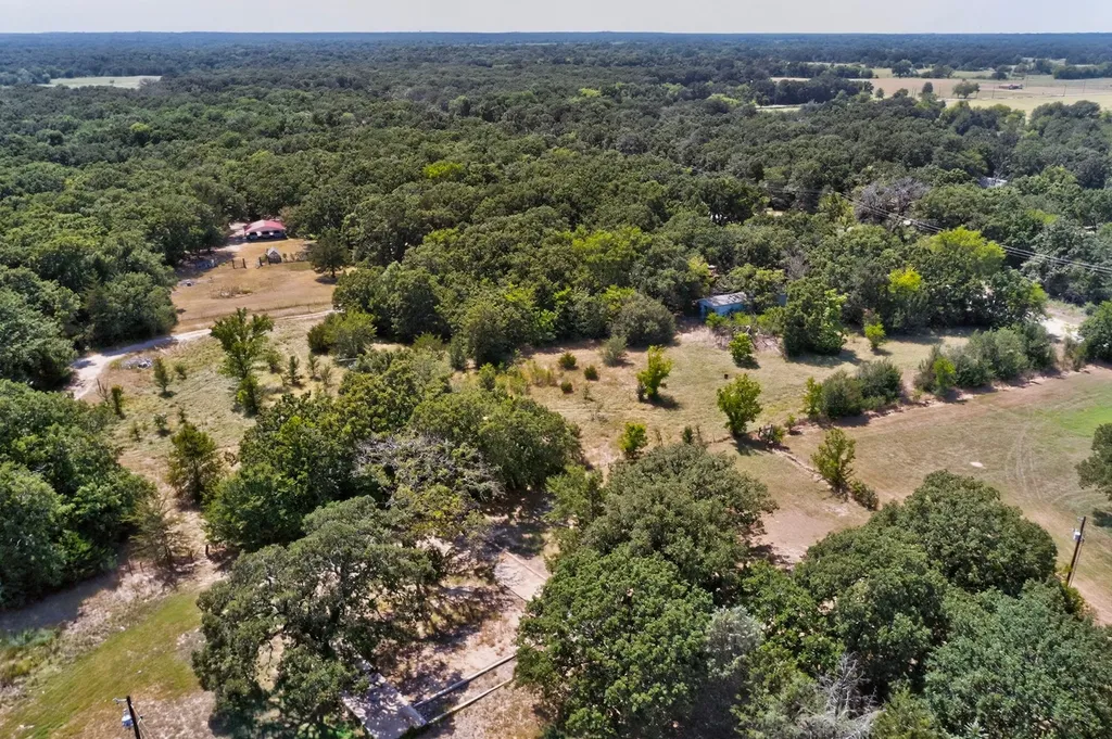 14266 Hickory Tree Lane Wills Point TX 75169