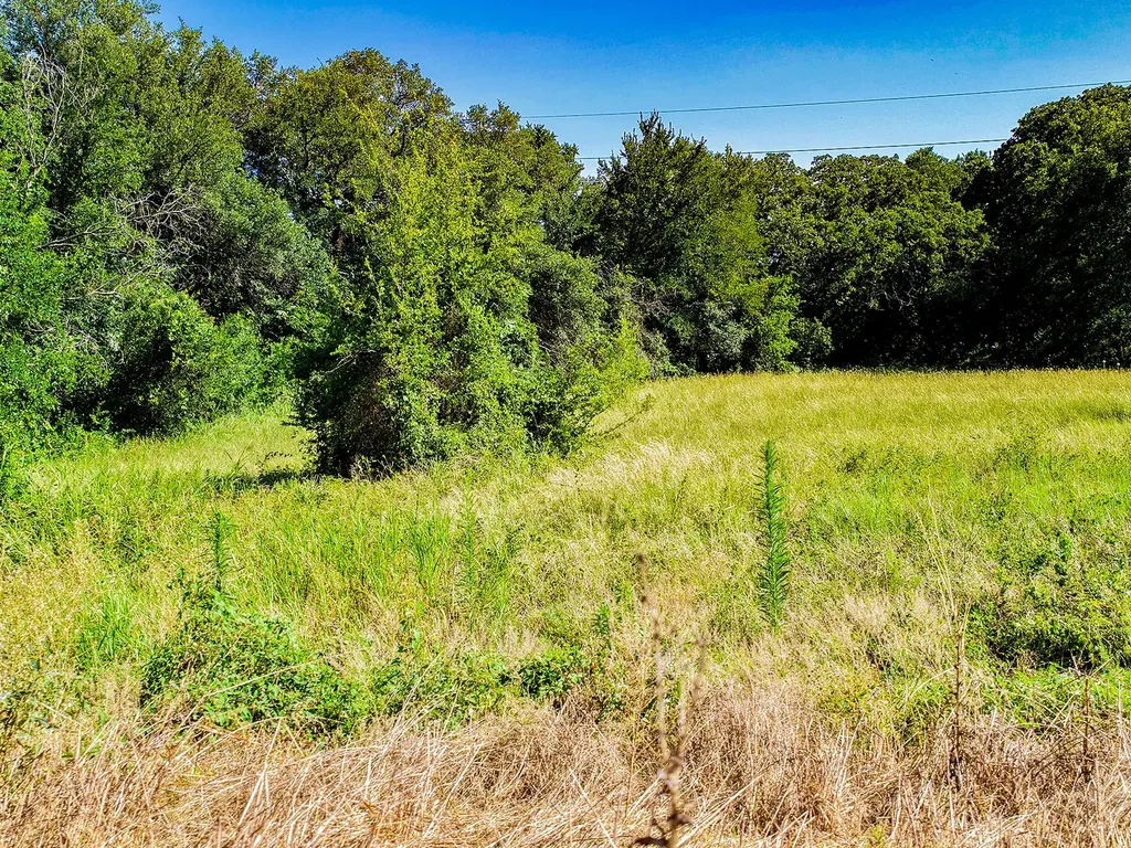 Tbd Highway 36 Gustine TX 76455