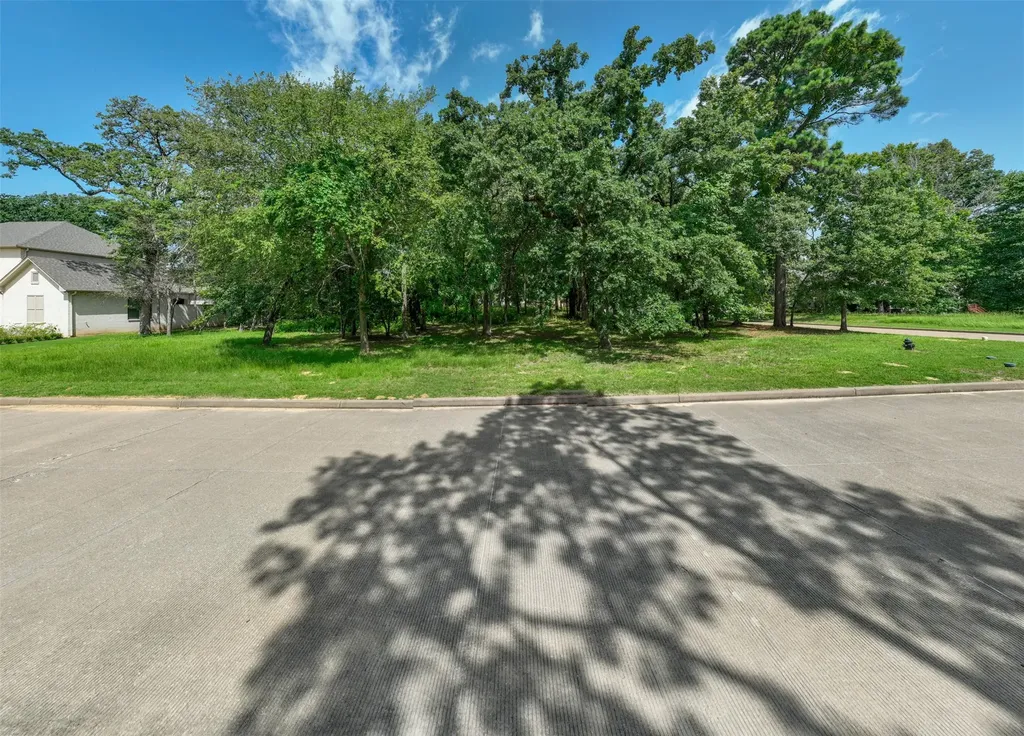 160 Eagles Bluff Drive Bullard TX 75757