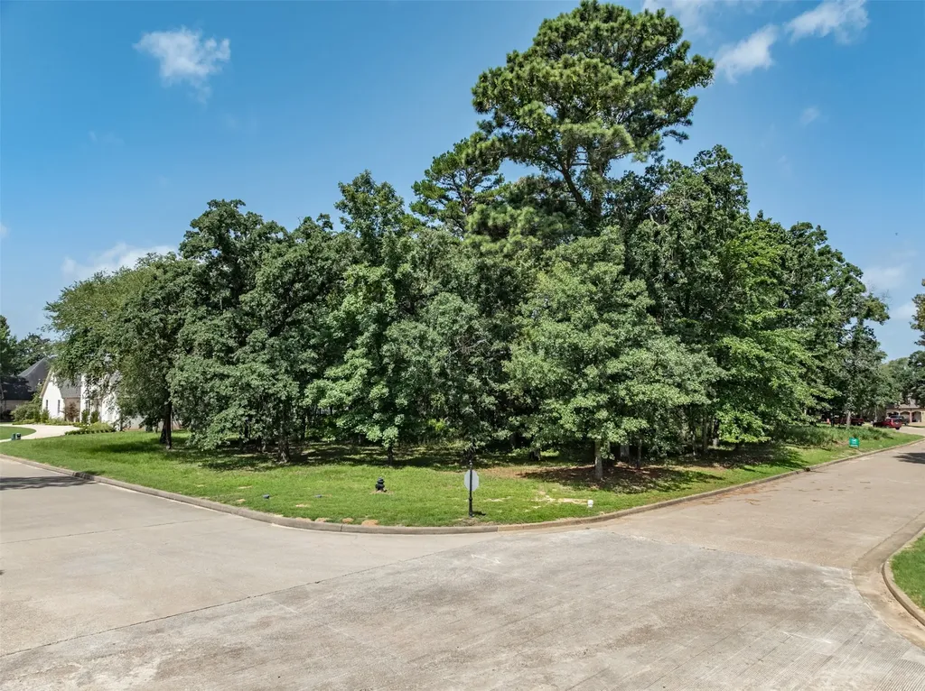 160 Eagles Bluff Drive Bullard TX 75757