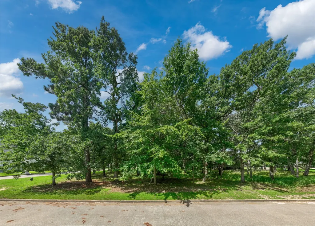 160 Eagles Bluff Drive Bullard TX 75757