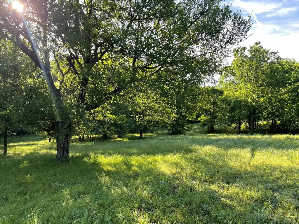 310 Thorn Ridge Drive Kerens TX 75144