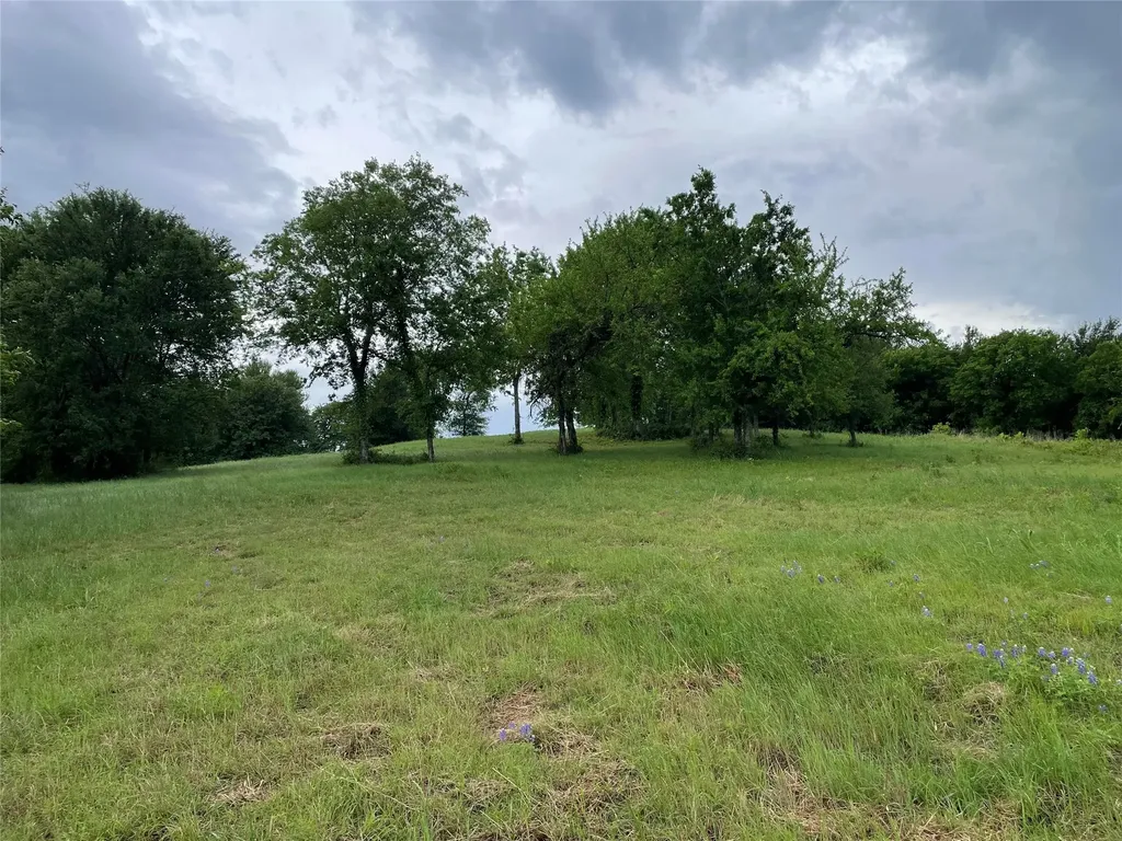 310 Thorn Ridge Drive Kerens TX 75144