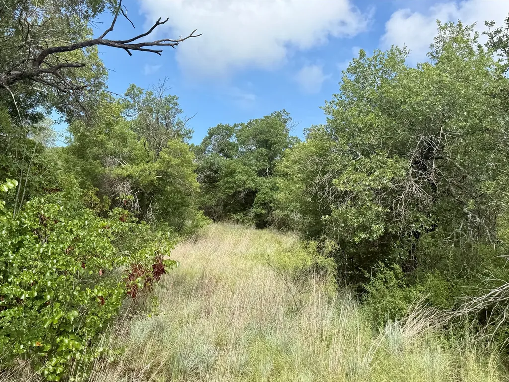 1315 County Road 419 Coleman TX 76834