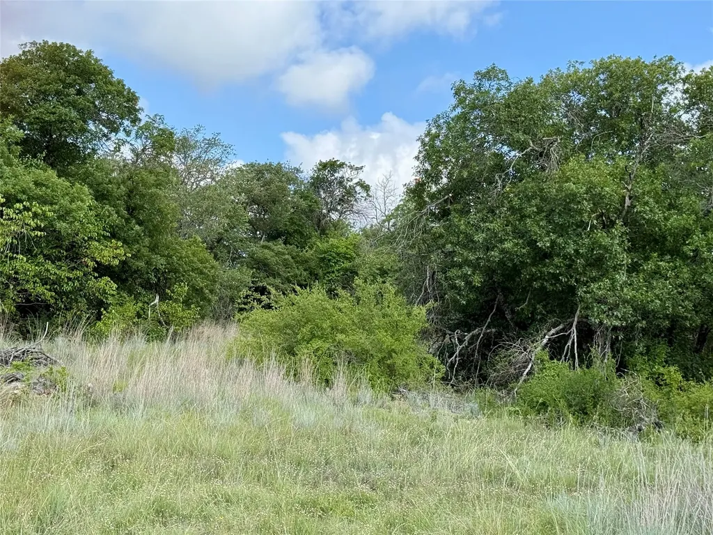 1315 County Road 419 Coleman TX 76834