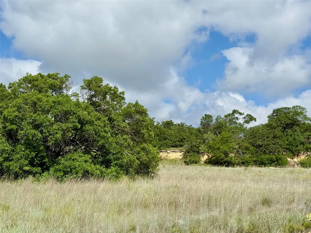 1315 County Road 419 Coleman TX 76834