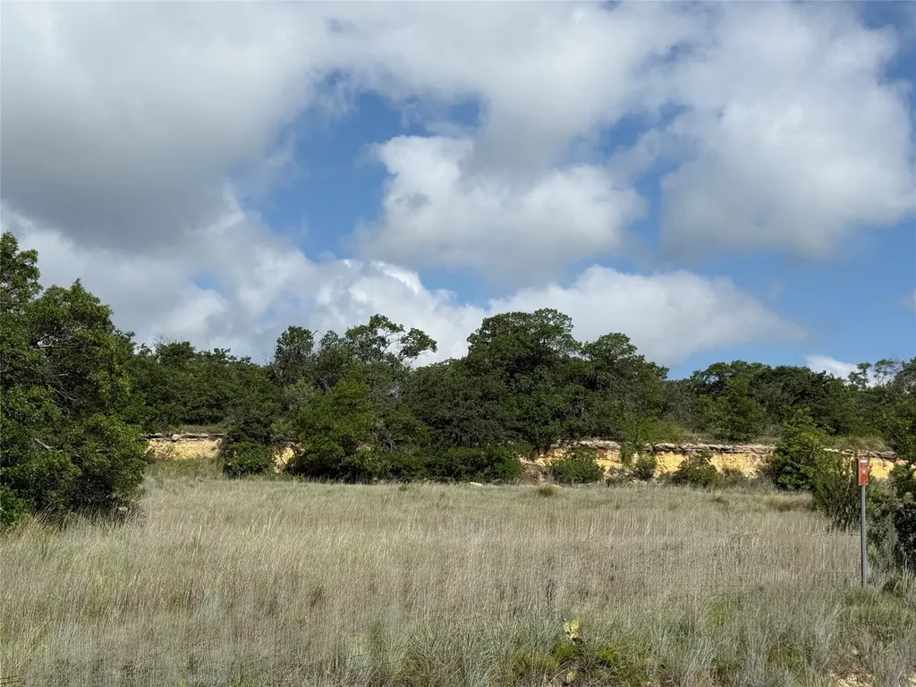 1315 County Road 419 Coleman TX 76834