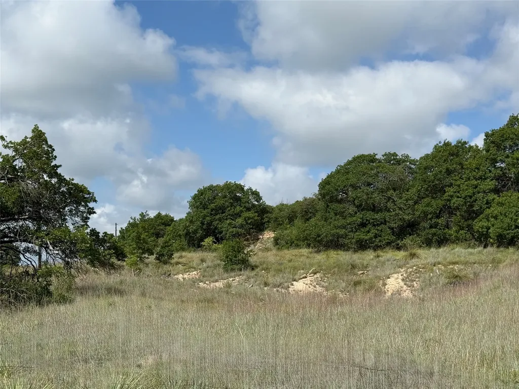 1315 County Road 419 Coleman TX 76834