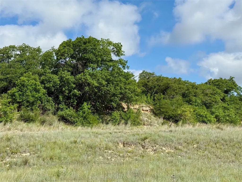 1315 County Road 419 Coleman TX 76834