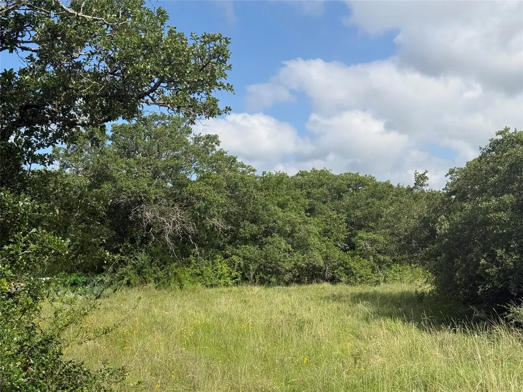 1315 County Road 419 Coleman TX 76834