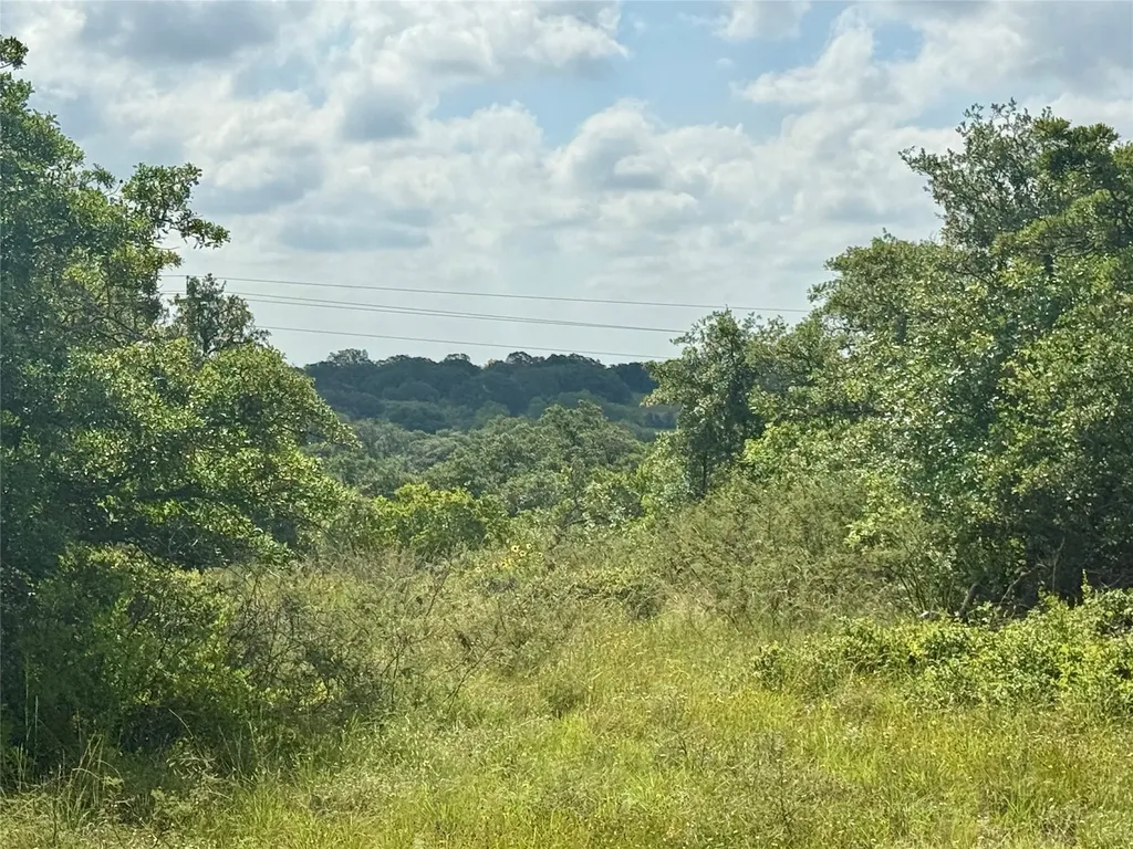 1315 County Road 419 Coleman TX 76834