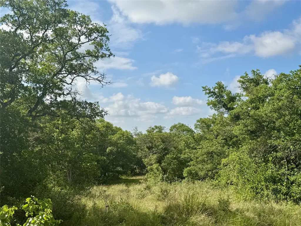 1315 County Road 419 Coleman TX 76834