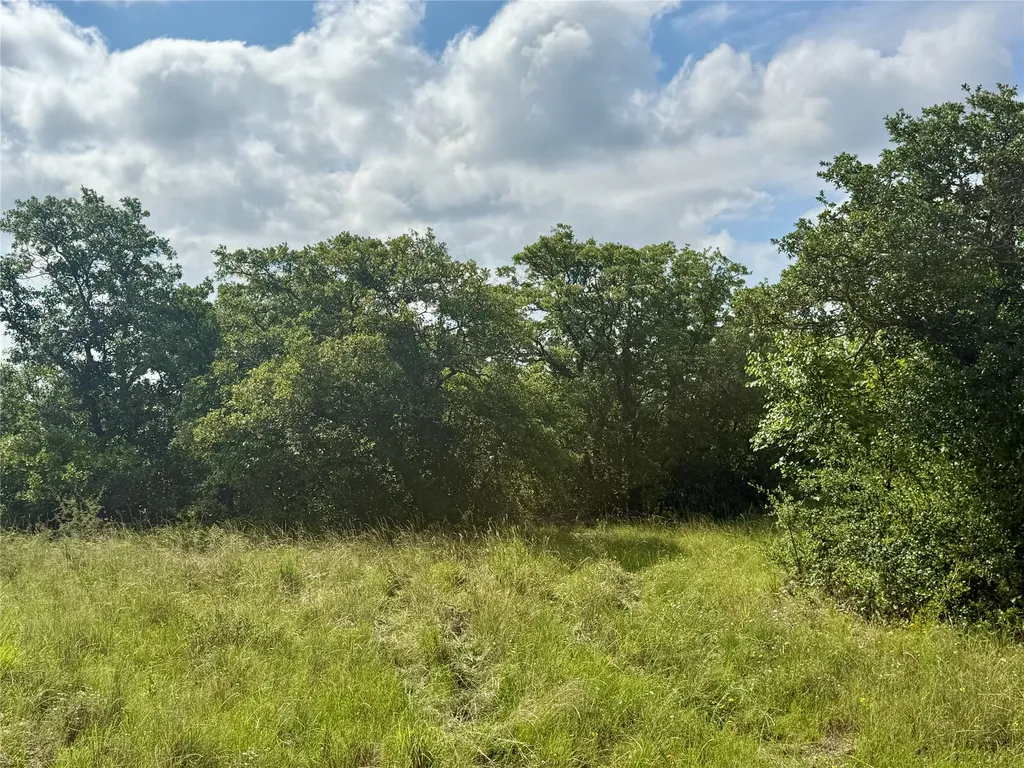 1315 County Road 419 Coleman TX 76834