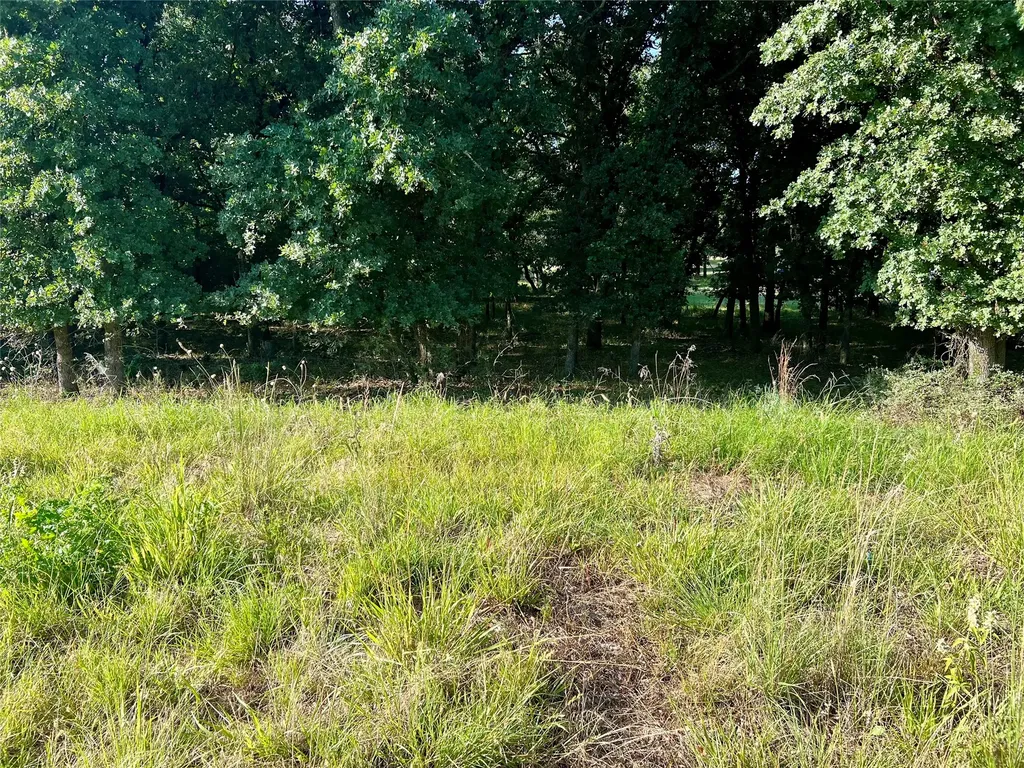 159 Fairway Drive Nocona TX 76255