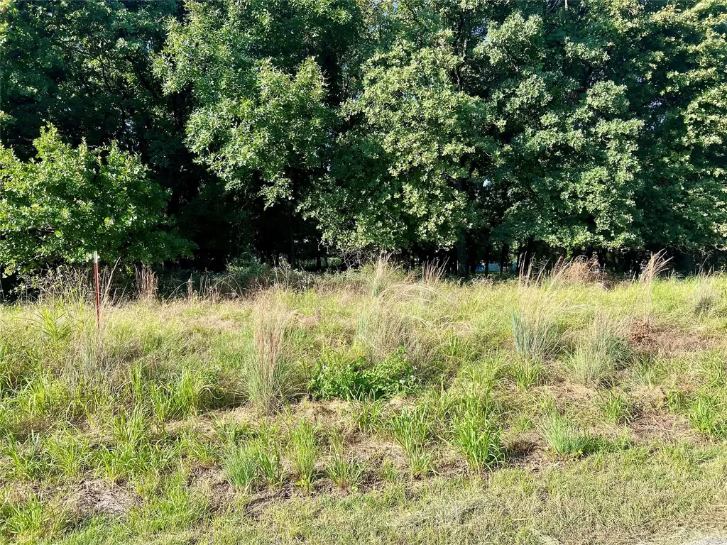 159 Fairway Drive Nocona TX 76255