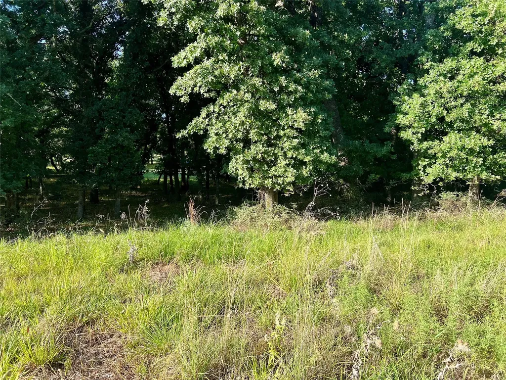 159 Fairway Drive Nocona TX 76255