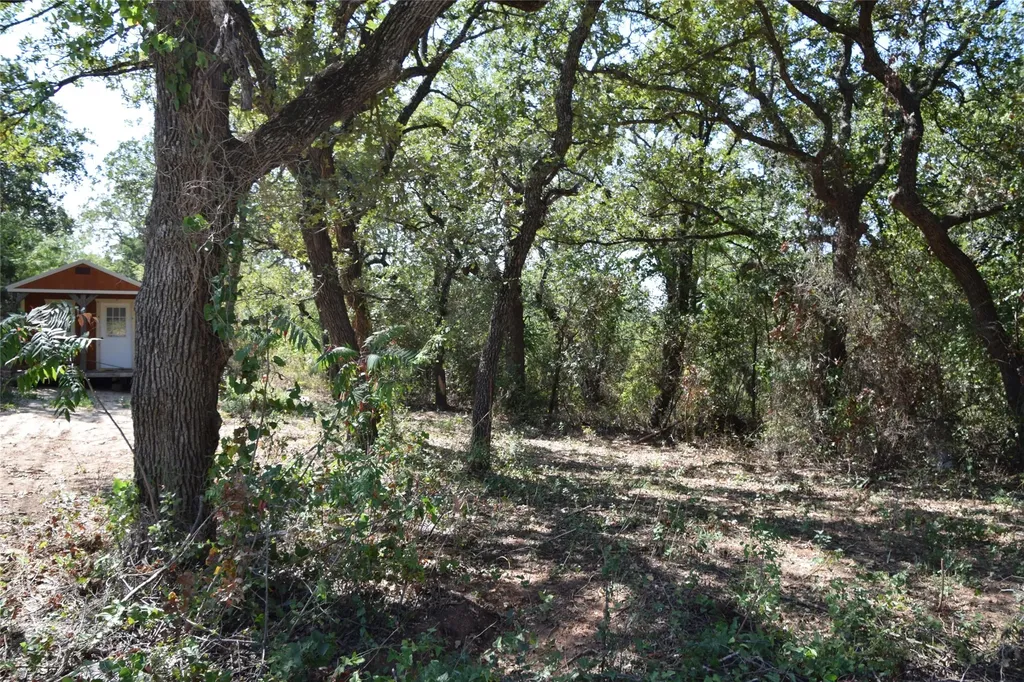0 Walnut Road Nocona TX 76255