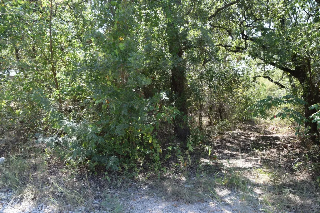 0 Walnut Road Nocona TX 76255