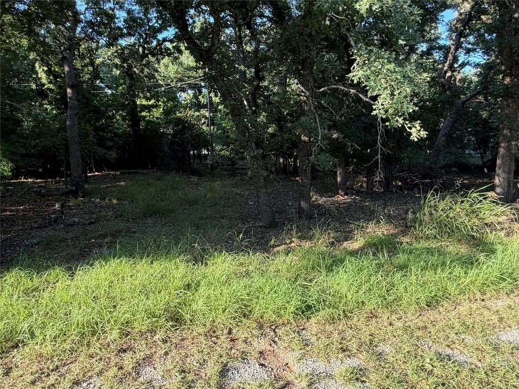 426 Woodwind Drive May TX 76857