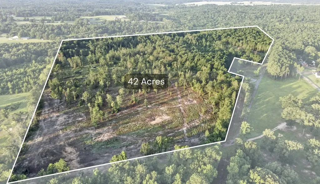Tbd 42 Acres Cr 3116 Winona TX 75792