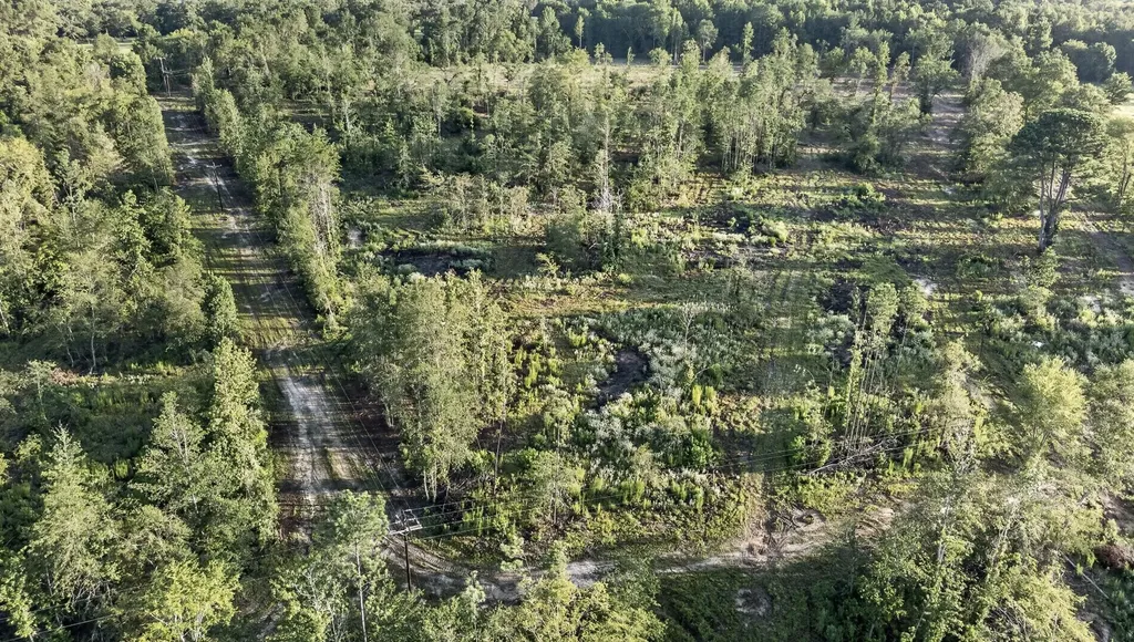 Tbd 42 Acres Cr 3116 Winona TX 75792