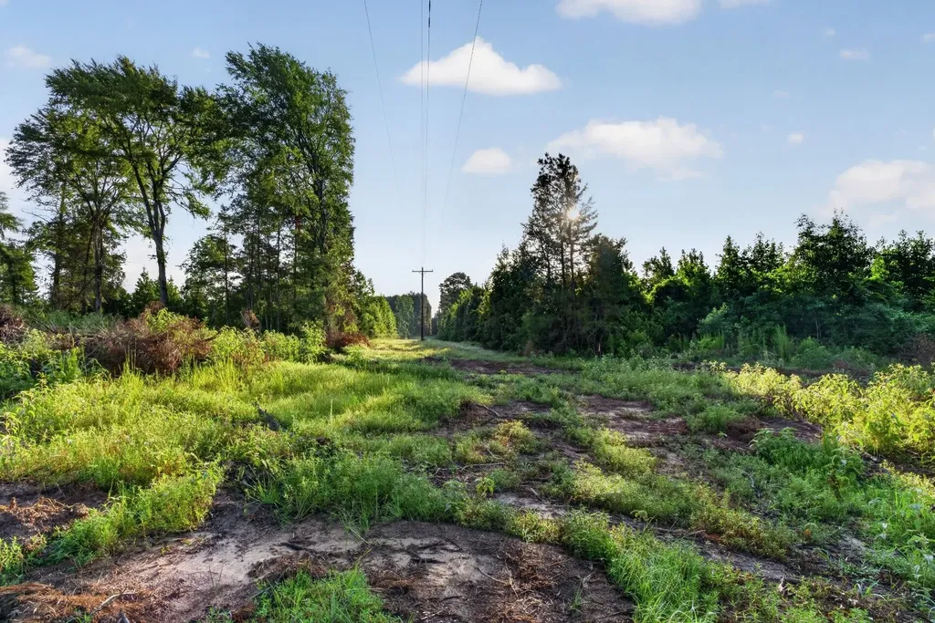 Tbd 42 Acres Cr 3116 Winona TX 75792