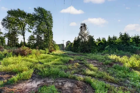 Tbd 42 Acres Cr 3116 Winona TX 75792