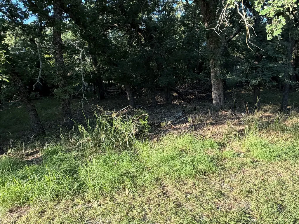 Tbd Timberdell Drive May TX 76857