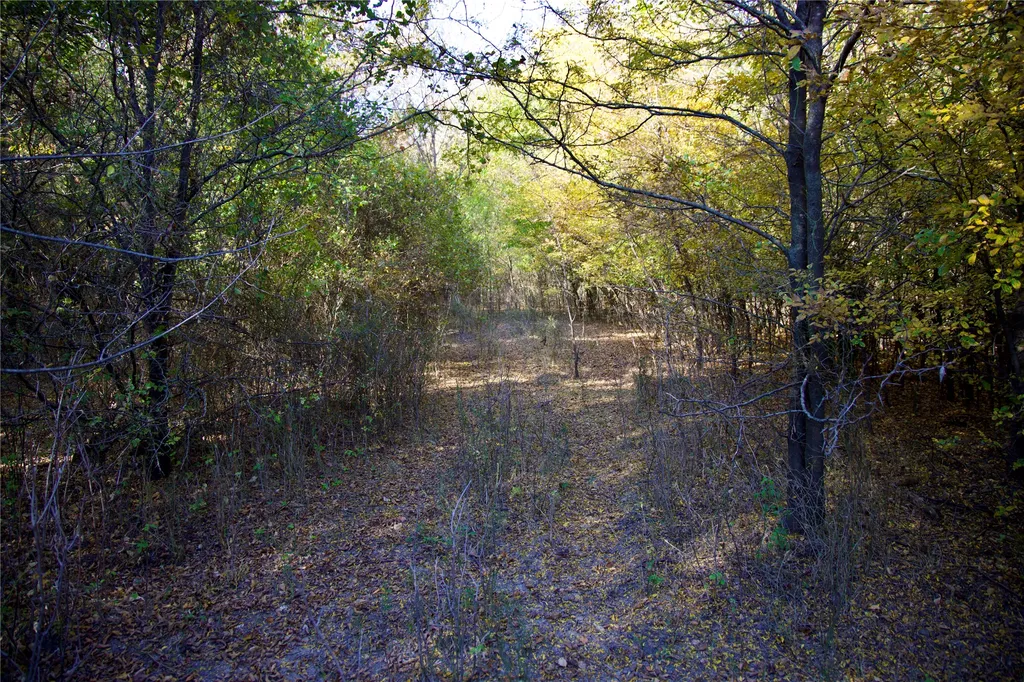 Tbd 80+/- Acres Cr-4421 Rhome TX 76078