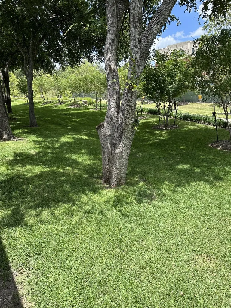 4114 Leadville Place Addison TX 75001