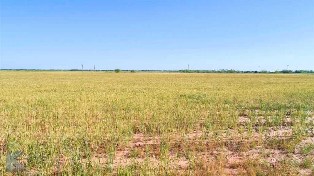 9533 Fm 617 Rochester TX 79544