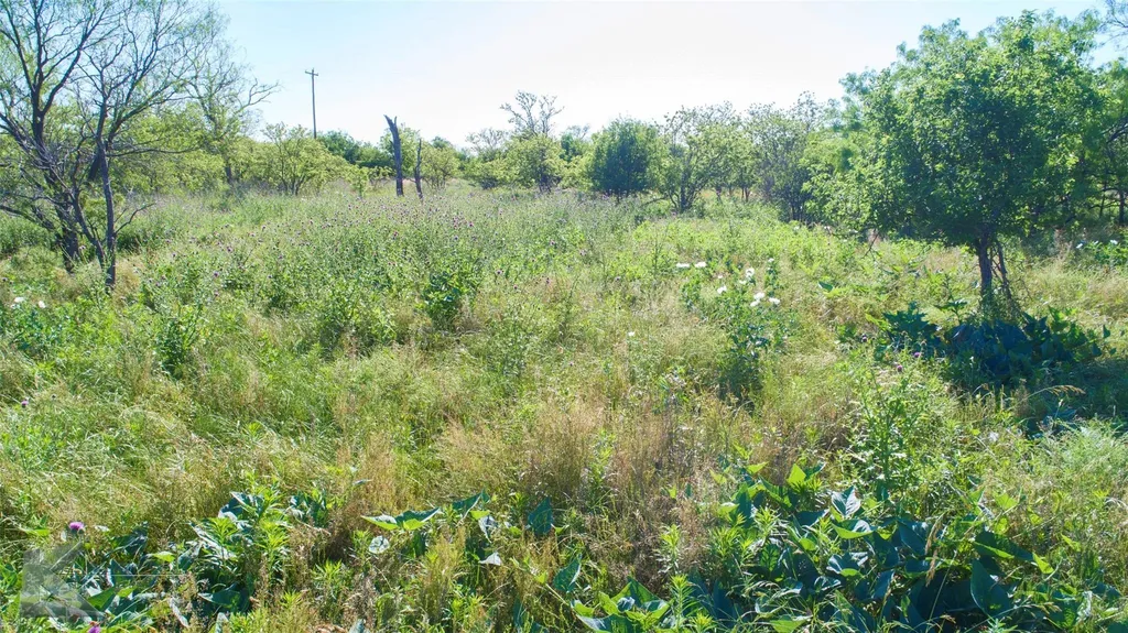 9533 Fm 617 Rochester TX 79544