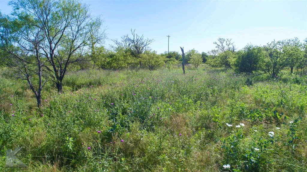 9533 Fm 617 Rochester TX 79544