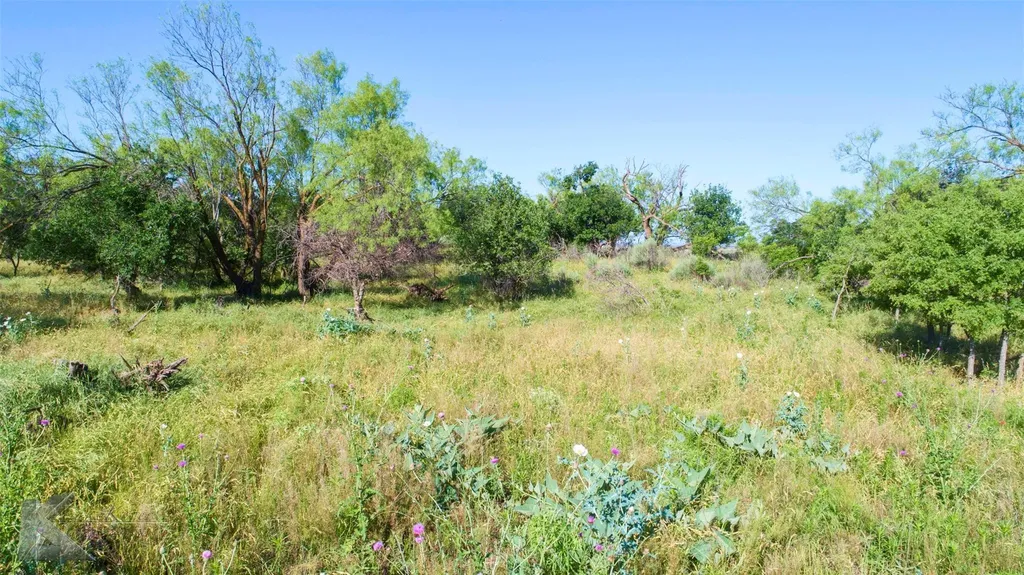 9533 Fm 617 Rochester TX 79544