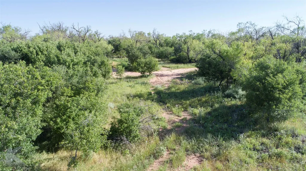 9533 Fm 617 Rochester TX 79544
