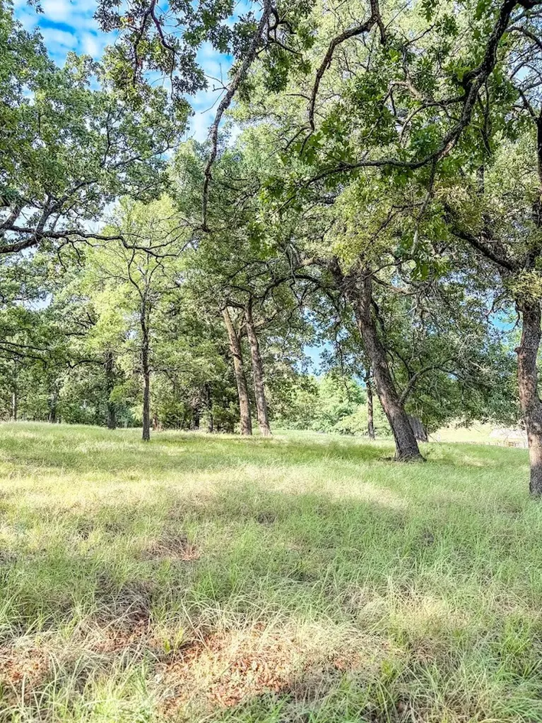 14216 Clark Drive Streetman TX 75859